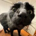 May God Bless You With