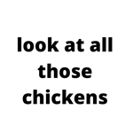 chickens