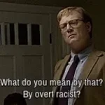 momoi-racist Voicemod