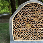 Beehive