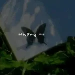 hô khẩu lệnh  thelucdoingu