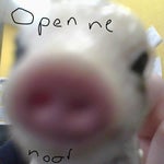 Skizz dang it sir phasmo