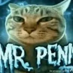 Maki fight theme (copy)