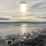 the cat empire one four five official audio 128 ytshorts