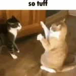 tuffest motivation