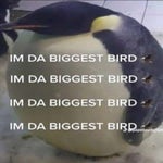 Music Sounds Better With You - Sound