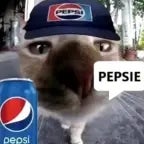 pepsie