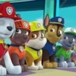 la pat patrouille sa a changé