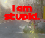 Leclerc - I am Stupid