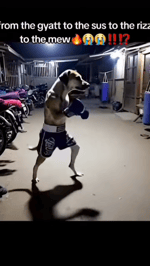 KSI - Thick Of It (Brainrot Version)