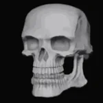 Bad to the Bone