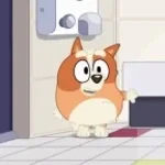 bingo bingo baby (copy)