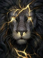 Black Hole Sleeps Tonight