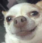 I Wanna Apologize :(