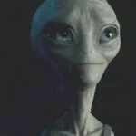 now you understand my need