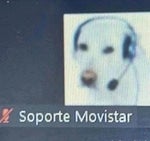 tengo dolor de estomago