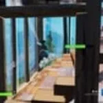 nos han metido el pene en el culo (copy)