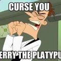Curse you perry the platypus