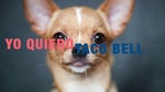 yo quiero taco bell