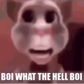 wadaheeeellll