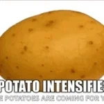 Potato