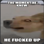 it was at this moment he knew, he fucked up