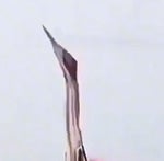 oh my god chris griffin