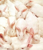 You're a boy in a man's world