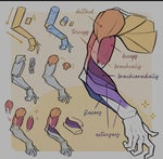 LEITI KNAK ft Tadu (Video Oficial) @shotbyjeydi