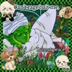 PiccoloAuraUltraQuiet