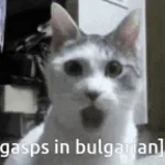 skamer get skam bulgaria