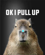 Ok i pull up hop out at the after party