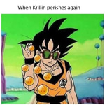 Where you go I go