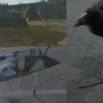 Recording 11/15/25 01:35:42 (copy)