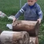 wood thwack
