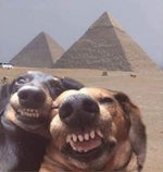 Deku and Bakugo Detroit SMASH