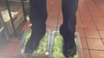 Number 15: Burger King Foot Lettuce