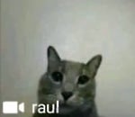 Gorilla tag SUICIDE ghost sfx