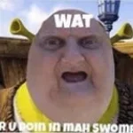 j'ai un p'tit zizi (copy)