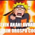 anani sikim ölünü sikim