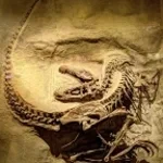 Drag Path Dinosaurs Twenty one pilot