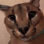 jumpscare