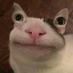 Paramı Geri İstiyorum