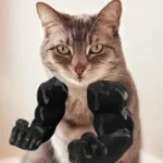 MuskelKater | 2homiedawgs