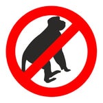 breaking bad opening