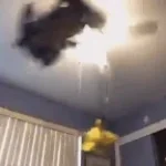 he was moelestedas a baby boy