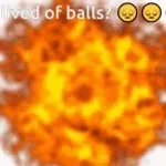 TIPTOE thrue the window