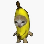 oh my god meme shory