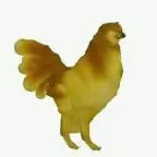 Animal i have become