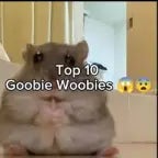 Top 10 Gooby Woobies